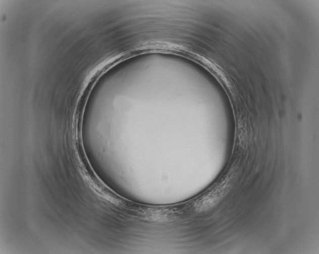 X0000081600987200702051325