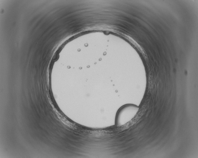 X0000081600988200702051325