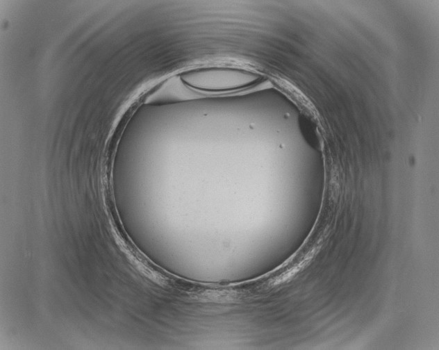 X0000081600989200702051325