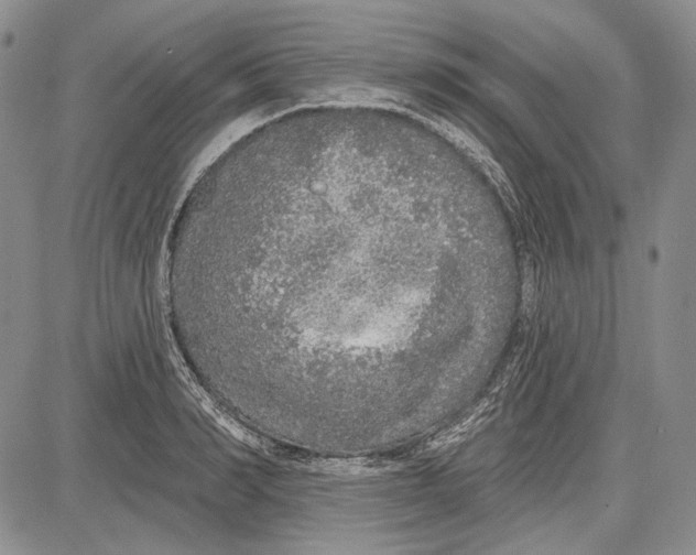 X0000081600990200702051325