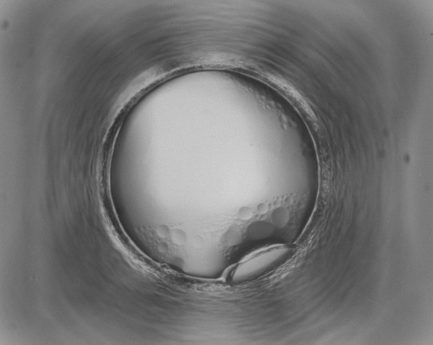 X0000081600991200702051325