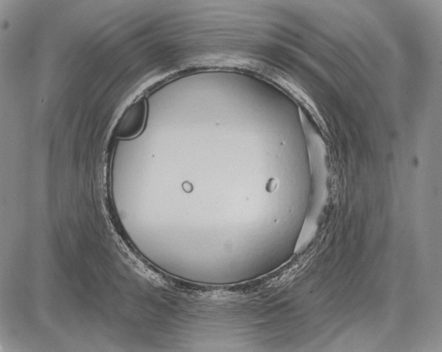 X0000081600992200702051325