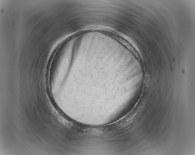 X0000081600995200702051325