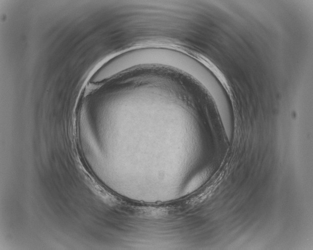 X0000081600996200702051325