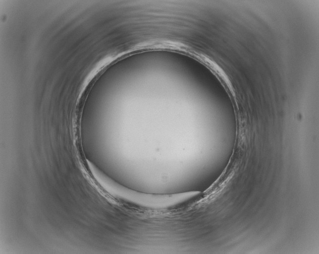 X0000081600997200702051325