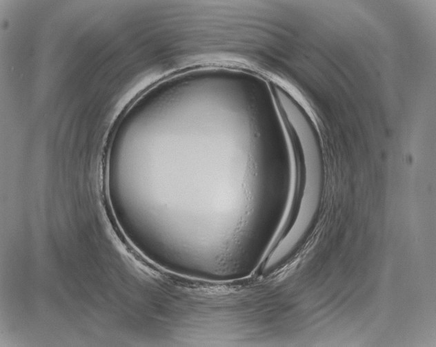 X0000081600999200702051325