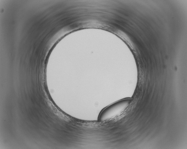 X0000081601000200702051324