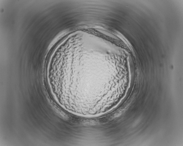 X0000081601002200702051324