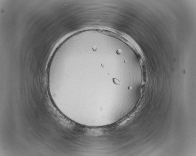 X0000081601004200702051324