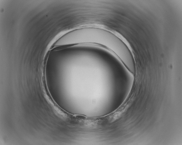 X0000081601005200702051324