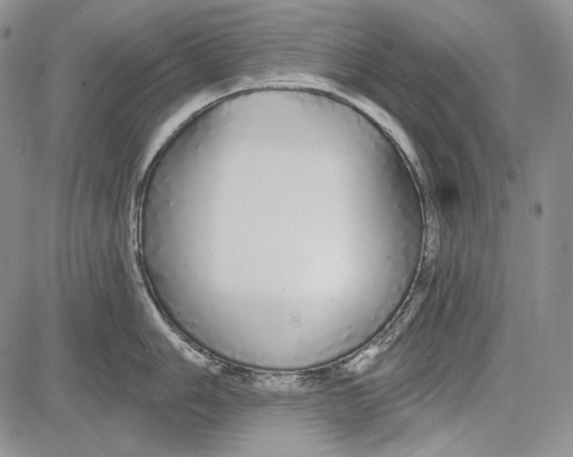 X0000081601006200702051324