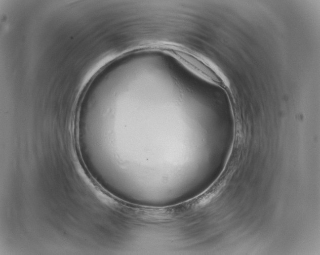 X0000081601007200702051324