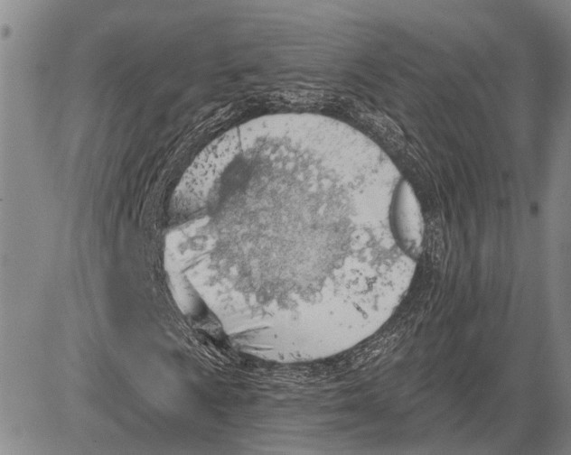 X0000081601009200702051324