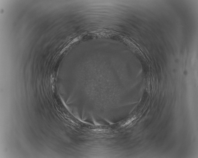 X0000081601010200702051324