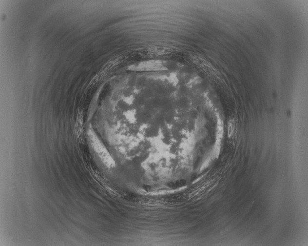 X0000081601011200702051324