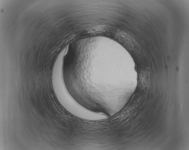 X0000081601012200702051324