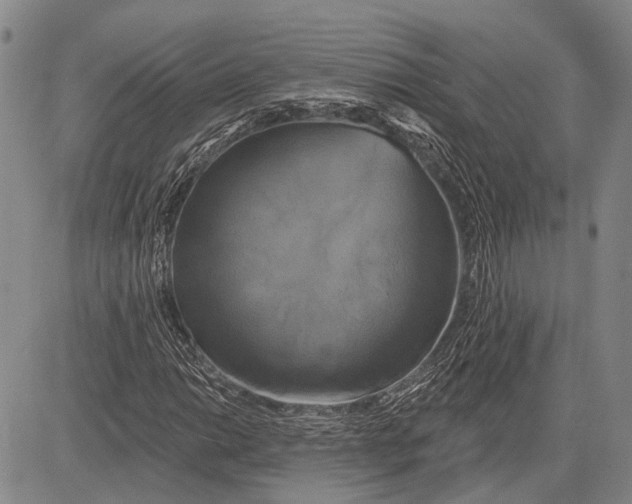 X0000081601014200702051324