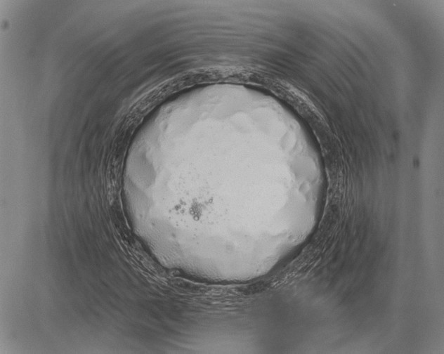 X0000081601015200702051324