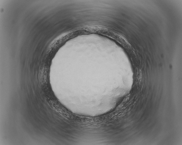 X0000081601016200702051324