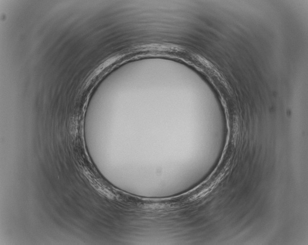 X0000081601017200702051324