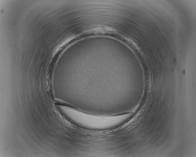 X0000081601018200702051324