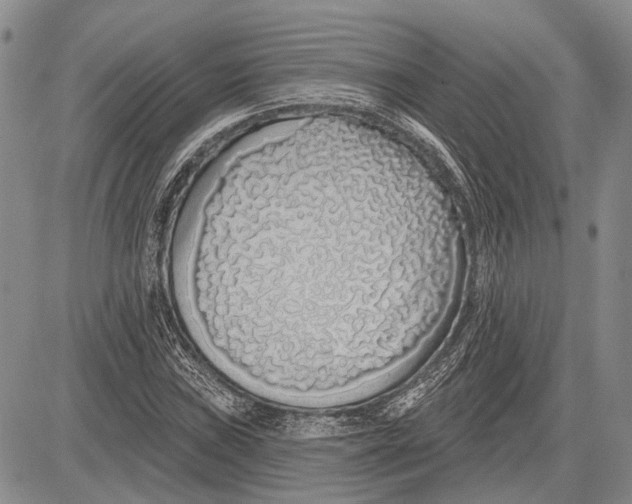 X0000081601019200702051324