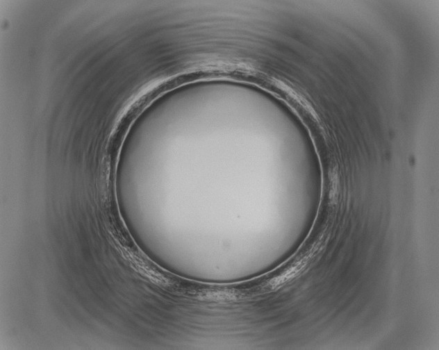 X0000081601021200702051324