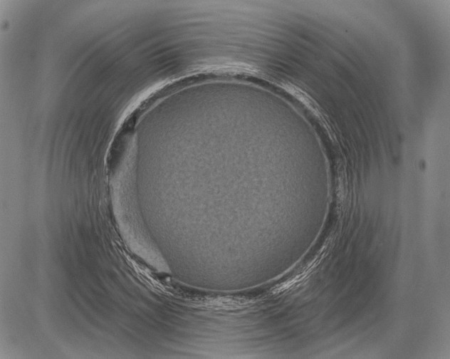 X0000081601022200702051324