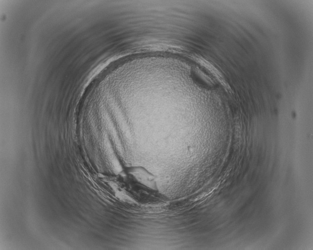 X0000081601023200702051324