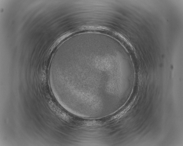 X0000081601025200702051324