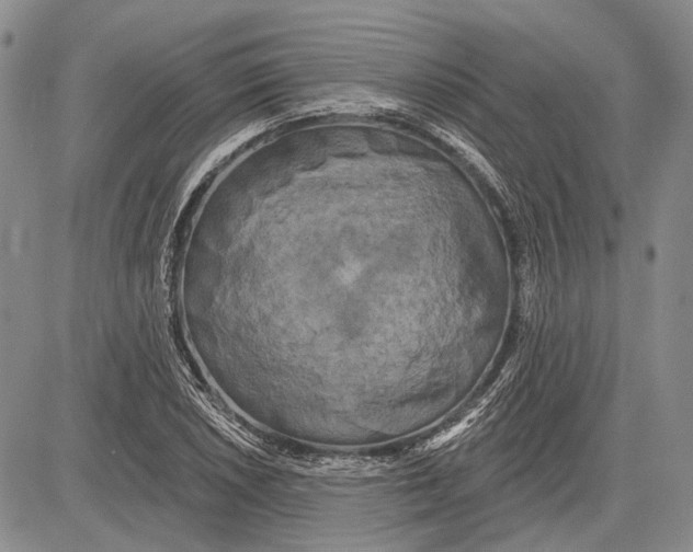 X0000081601026200702051324