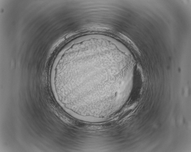 X0000081601027200702051324