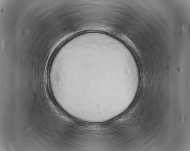 X0000081601028200702051324