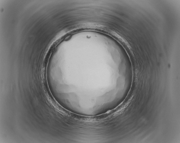 X0000081601029200702051324