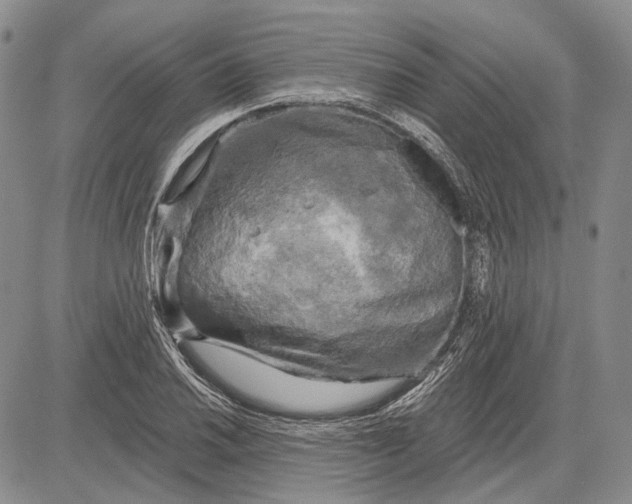 X0000081601030200702051324