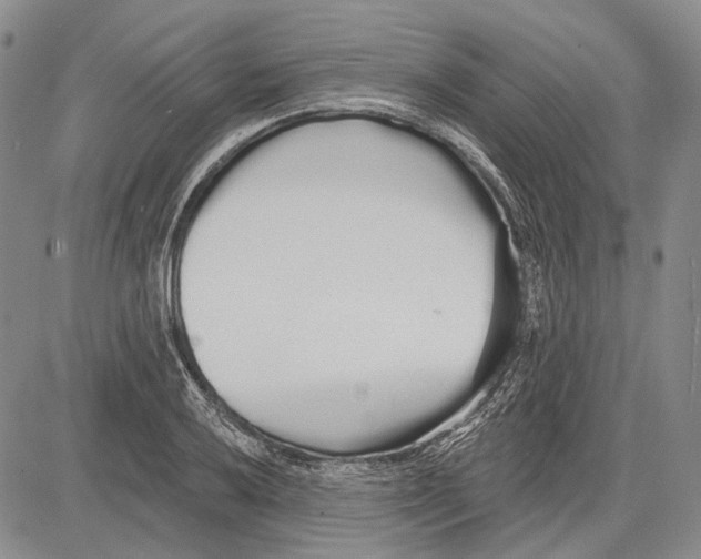 X0000081601032200702051324