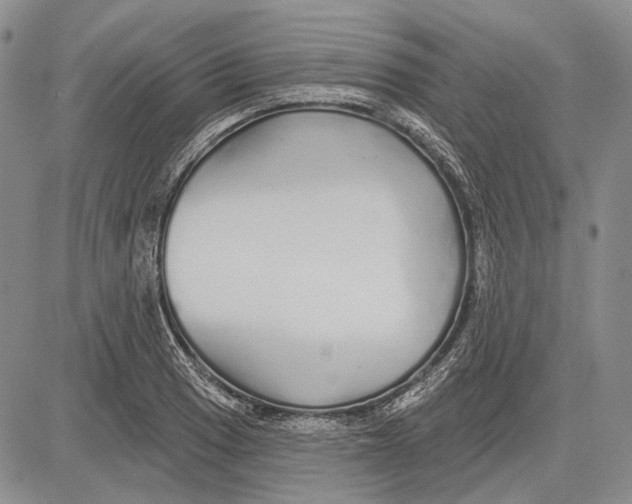 X0000081601033200702051324