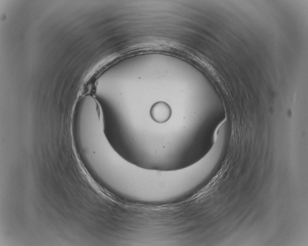 X0000081601034200702051324