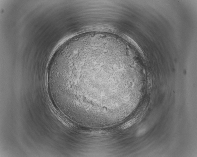 X0000081601035200702051324