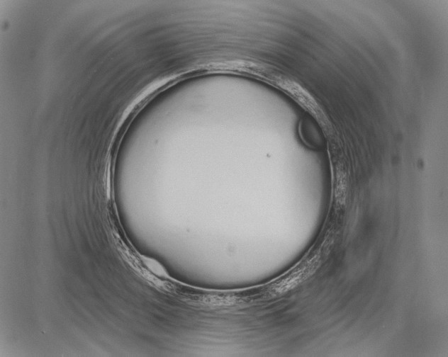 X0000081601036200702051324