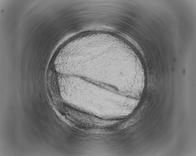 X0000081601037200702051324