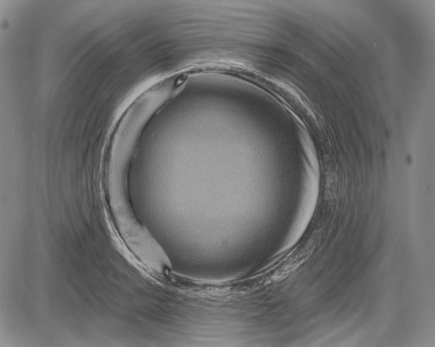 X0000081601038200702051324