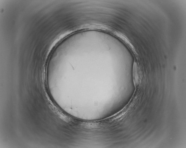 X0000081601040200702051324