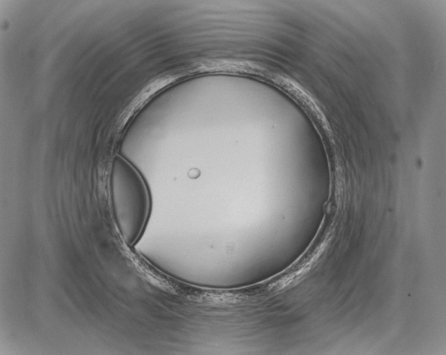 X0000081601041200702051324