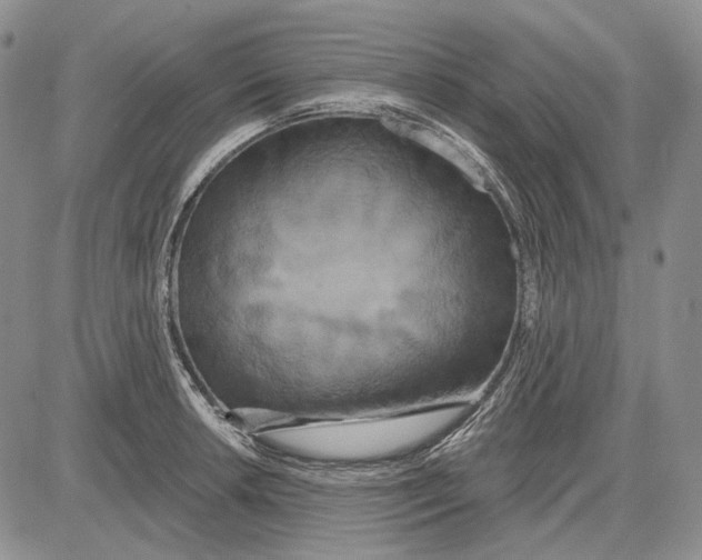 X0000081601042200702051324