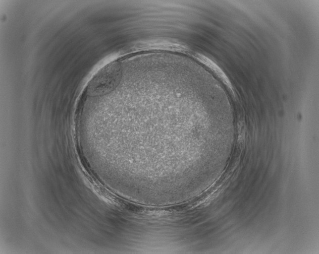 X0000081601043200702051324