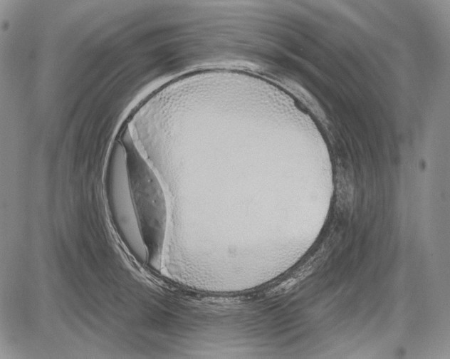 X0000081601044200702051324