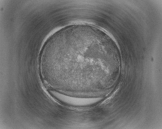 X0000081601045200702051324