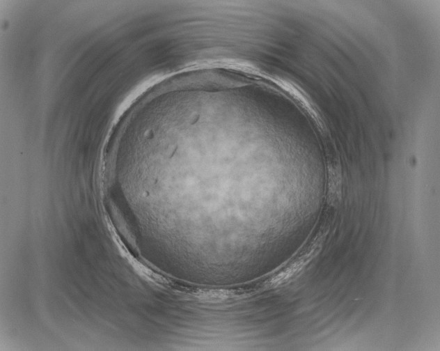 X0000081601046200702051324