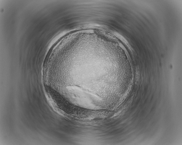 X0000081601047200702051324